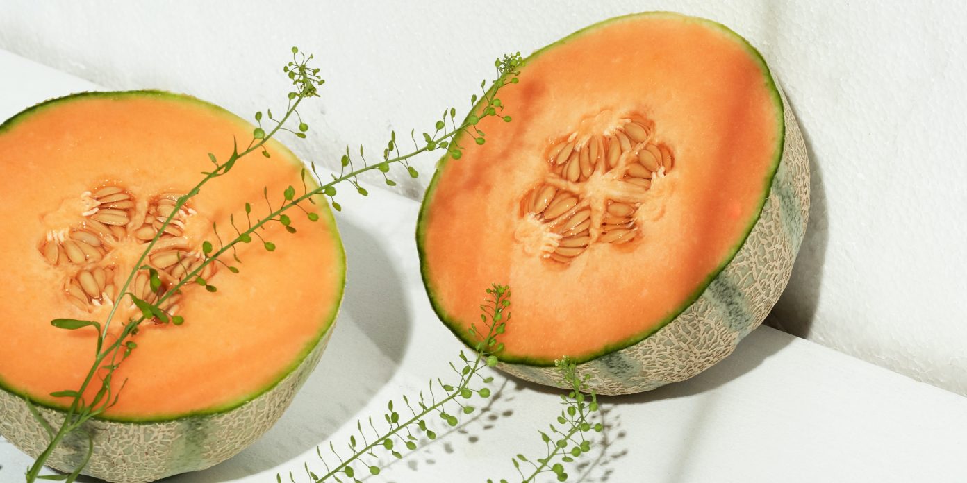 Trouver la recette de melon idéale