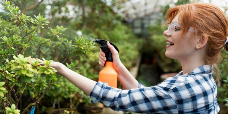 La pollution ruine peut-être votre jardin… Voici comment l’en protéger !