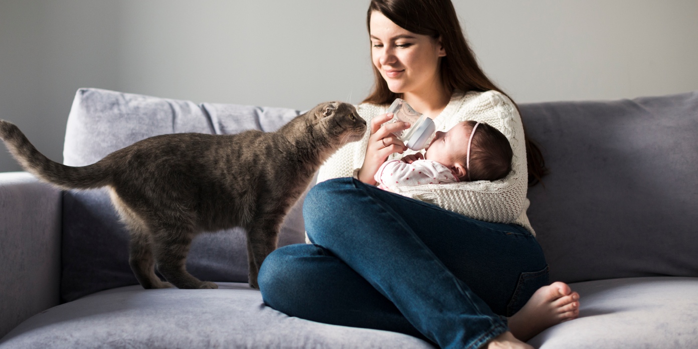 Chat supporte mal arrivée bébé