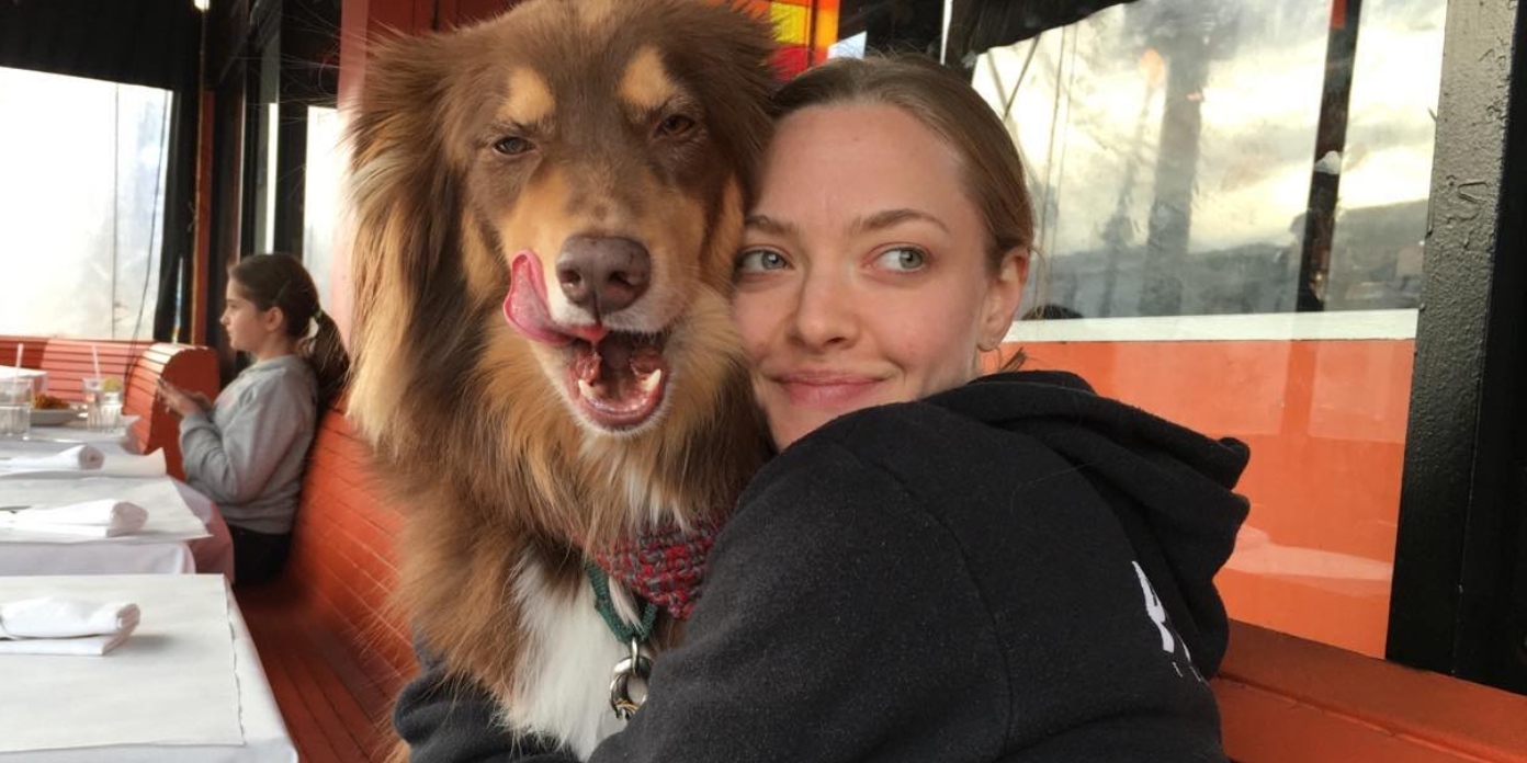 Amanda Seyfried animaux