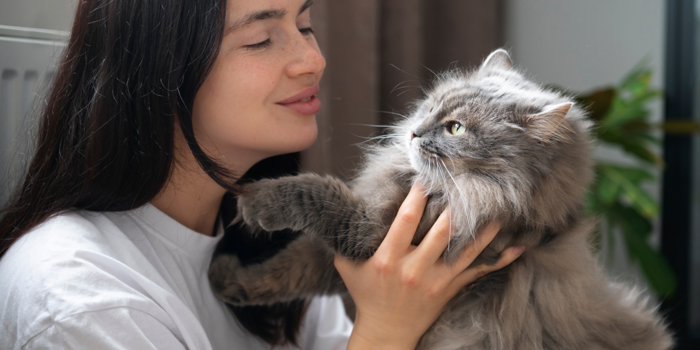 Choses que vous faites chat déteste